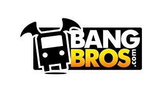 bangbros free video|Bangbros TV – BangBros TV! Original BangBros Channels, tune。